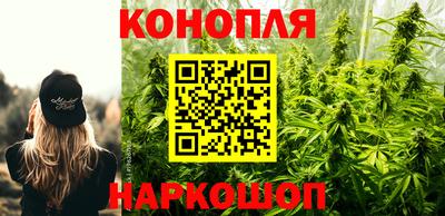 трава Пугачёв