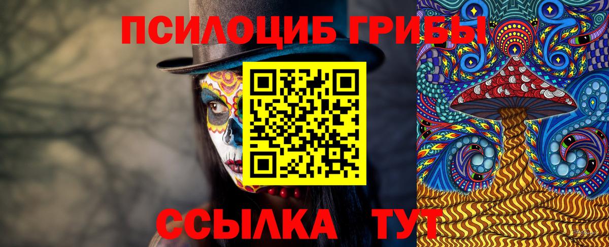 Псилоцибиновые грибы MAGIC MUSHROOMS Советск