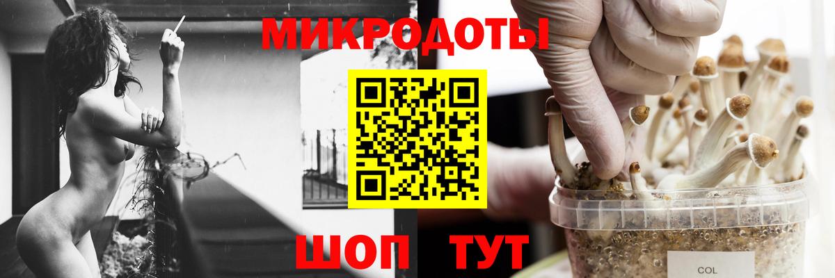 Галлюциногенные грибы Psilocybe  где купить   Советск  Вход с VPN 