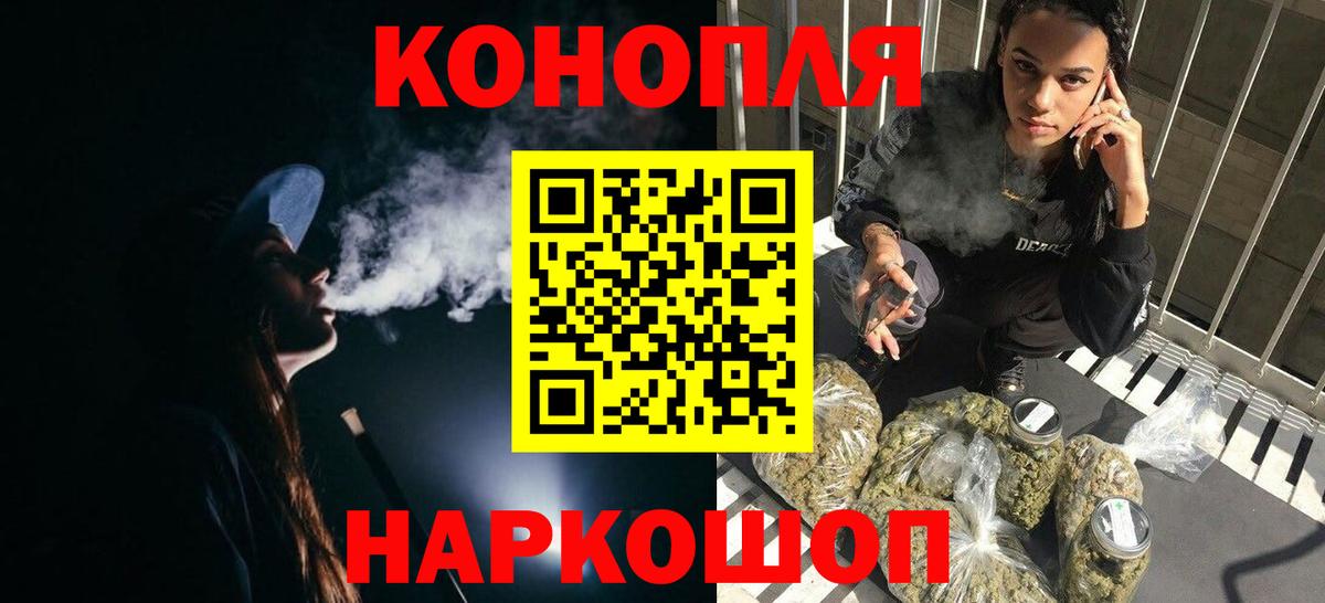 Конопля сатива Советск